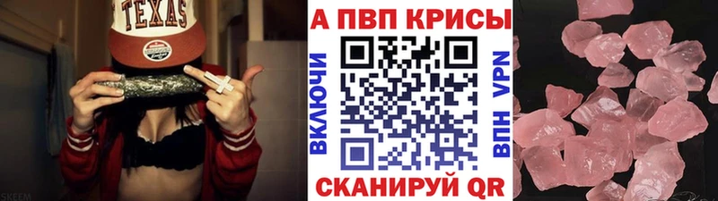 A PVP СК КРИС  Кисловодск 