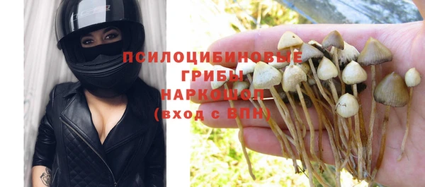гашик Абинск