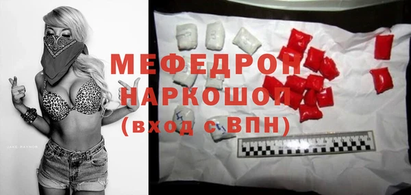 ешки Новодвинск