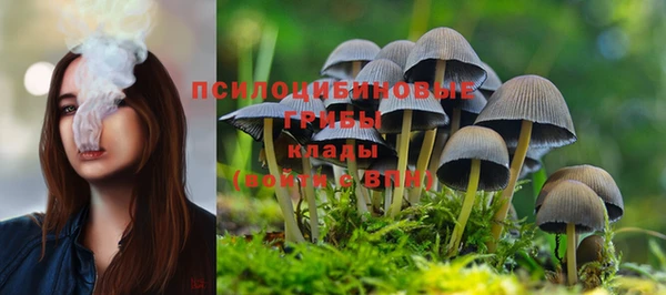 МДМА Новозыбков