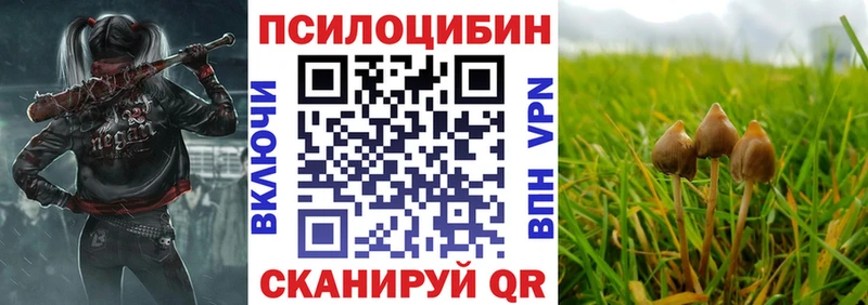 сайты даркнета состав  купить закладку  Кисловодск  Псилоцибиновые грибы Psilocybine cubensis 